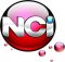 NEW CENTER CURSOS (530049)