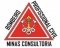 MINAS CONSULTORIA (530061)