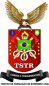 TSTR CURSOS E TREINAMENTOS (530060)